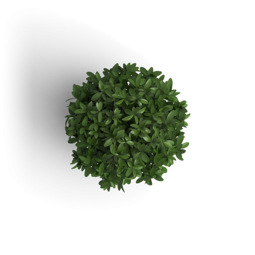object_plant_1.png